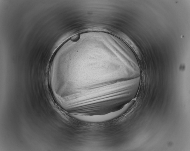 X0000099491002200806121348