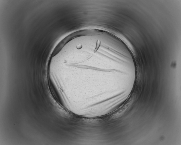 X0000099491004200806121348