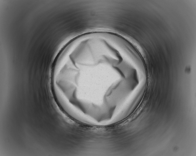 X0000099491006200806121348