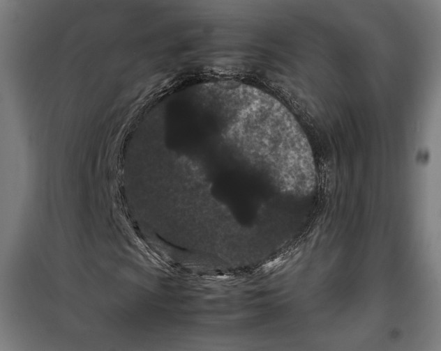 X0000099491009200806121347