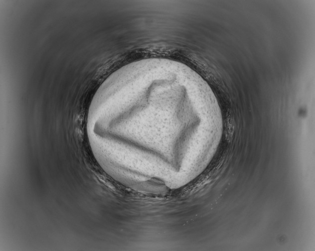 X0000099491010200806121347