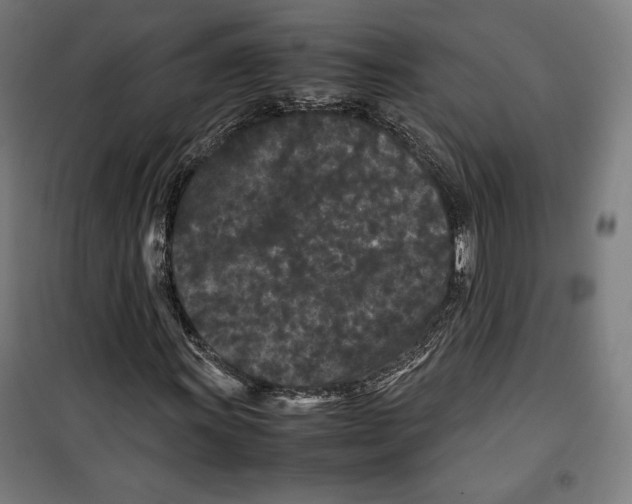 X0000099491011200806121347