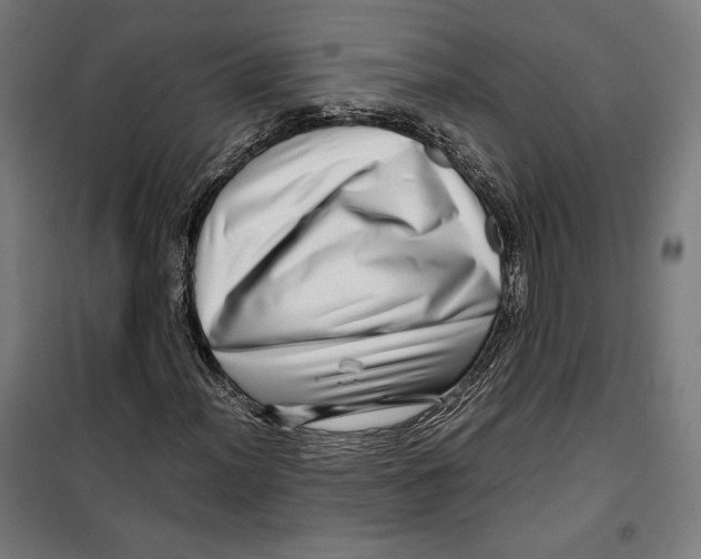 X0000099491012200806121347