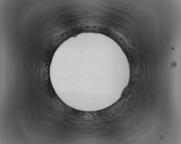 X0000099491013200806121347