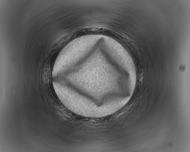 X0000099491014200806121347