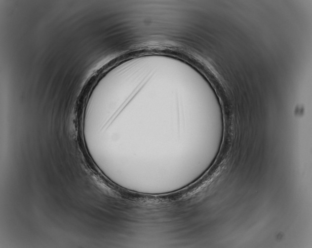 X0000099491018200806121347