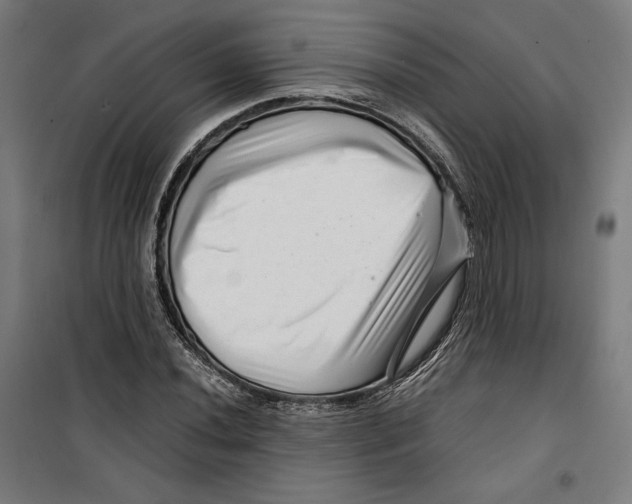 X0000099491020200806121347