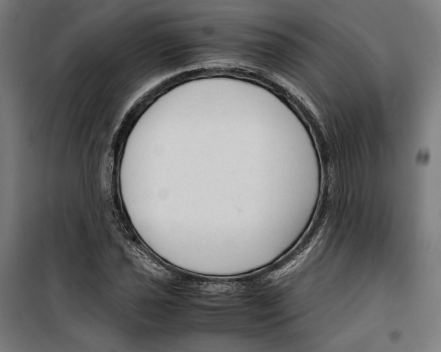 X0000099491021200806121347