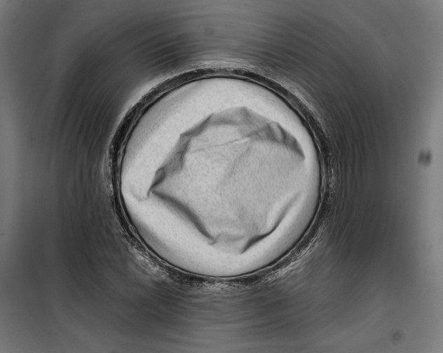 X0000099491022200806121347