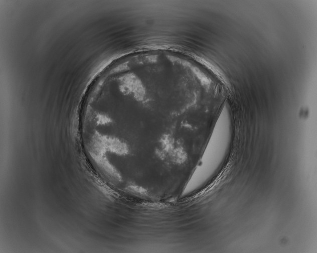 X0000099491023200806121347