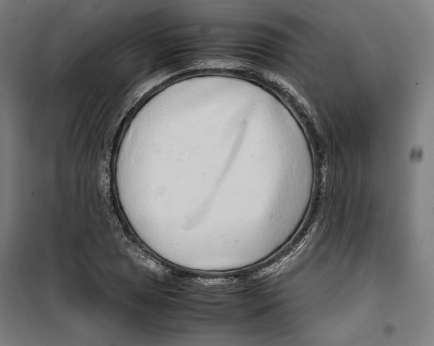 X0000099491025200806121347