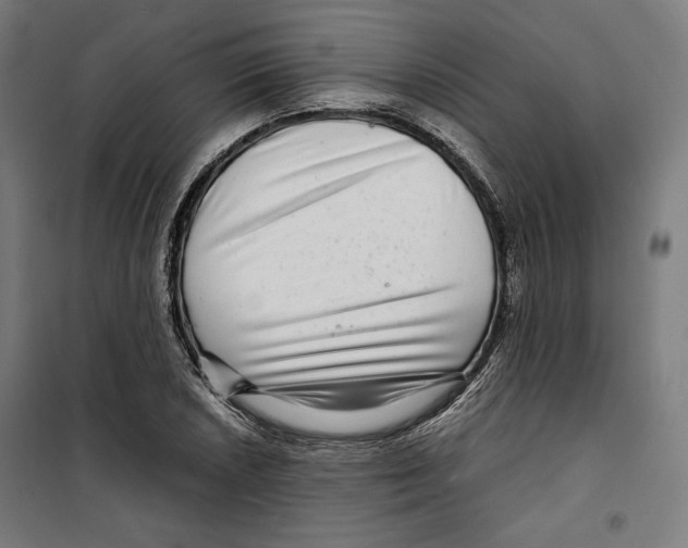 X0000099491026200806121347