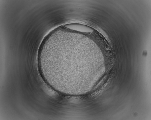 X0000099491028200806121347