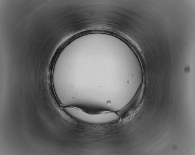 X0000099491029200806121347