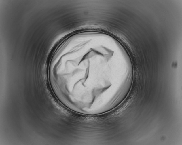 X0000099491030200806121347