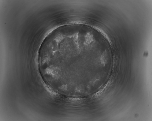 X0000099491031200806121347