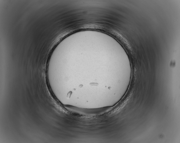 X0000099491033200806121347