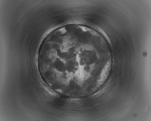 X0000099491035200806121347