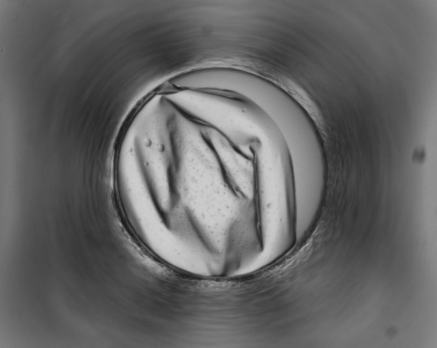 X0000099491036200806121347