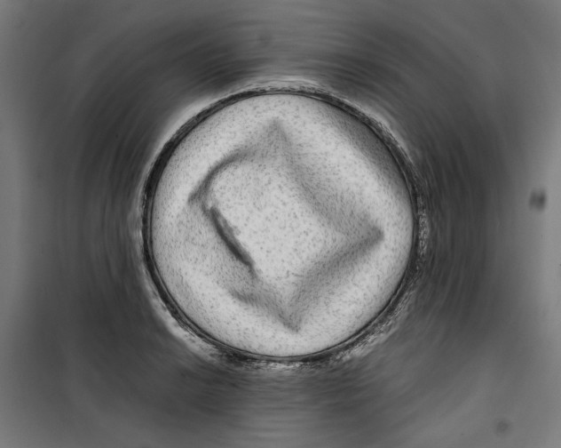 X0000099491038200806121347