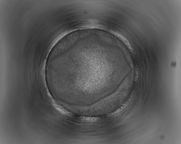 X0000099491039200806121347