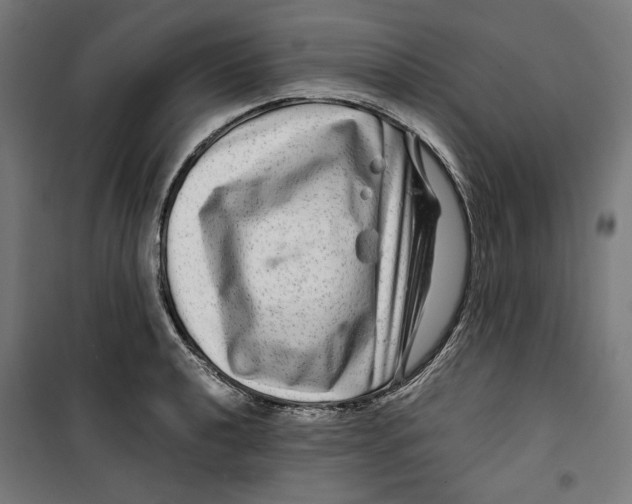 X0000099491040200806121347