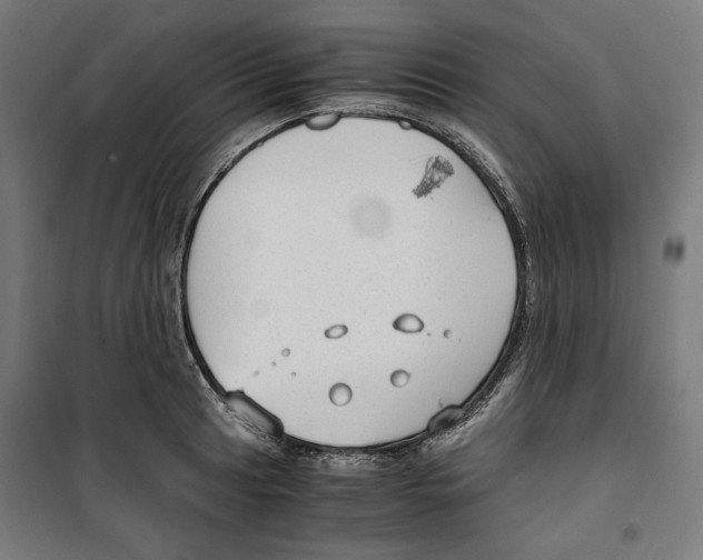 X0000099491041200806121347