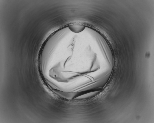 X0000099491042200806121348