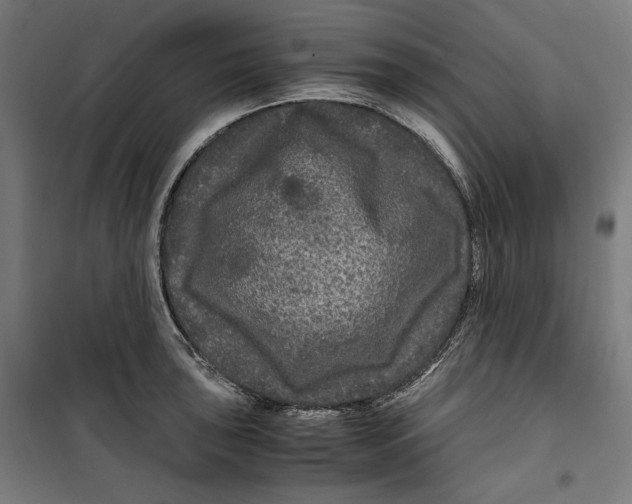 X0000099491043200806121348