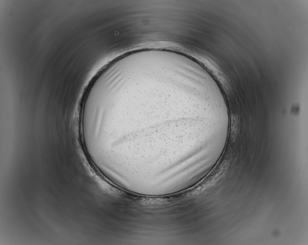 X0000099491046200806121348