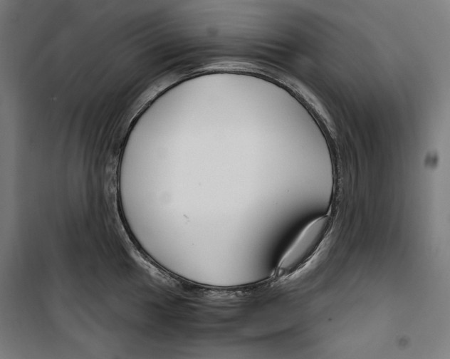 X0000099491049200806121348