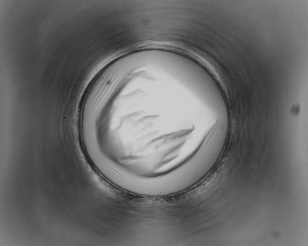 X0000099491050200806121348