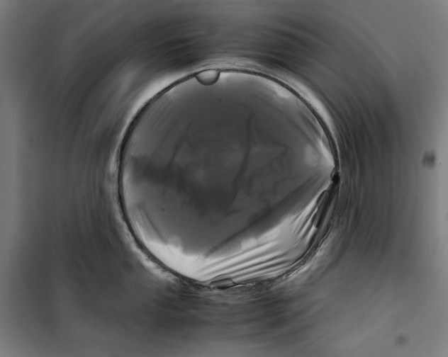 X0000099491053200806121348