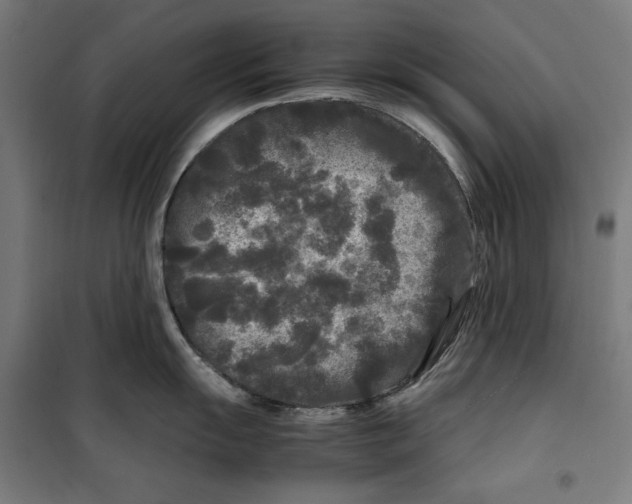 X0000099491055200806121348