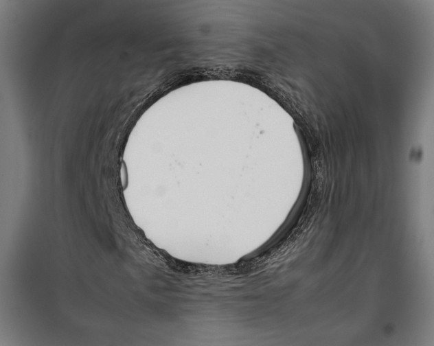 X0000099491057200806121347