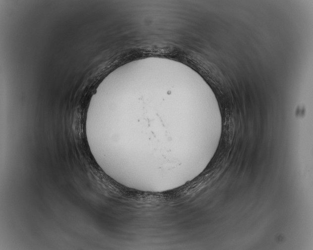 X0000099491058200806121347