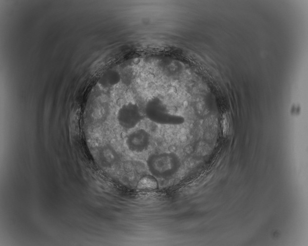 X0000099491059200806121347