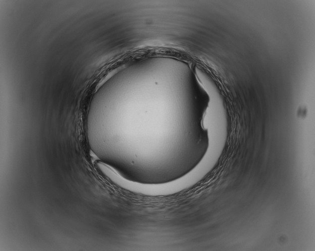 X0000099491062200806121347