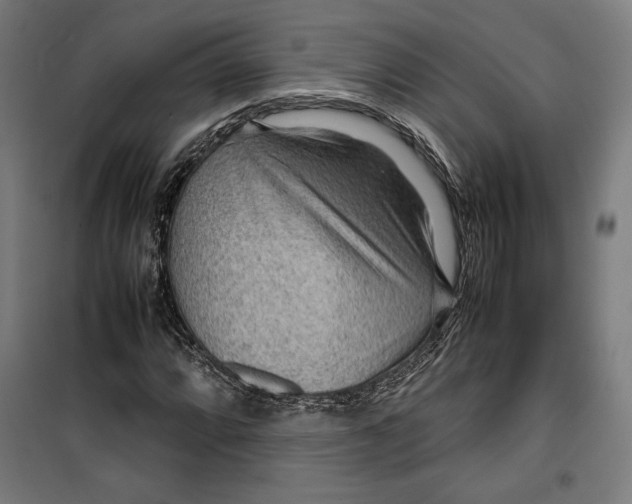 X0000099491064200806121347