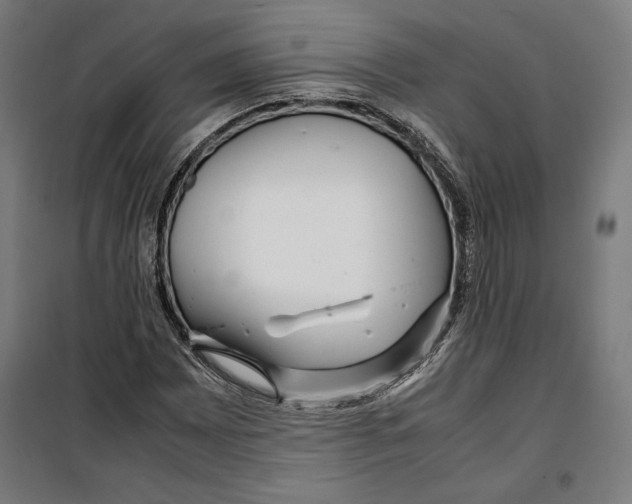 X0000099491065200806121347