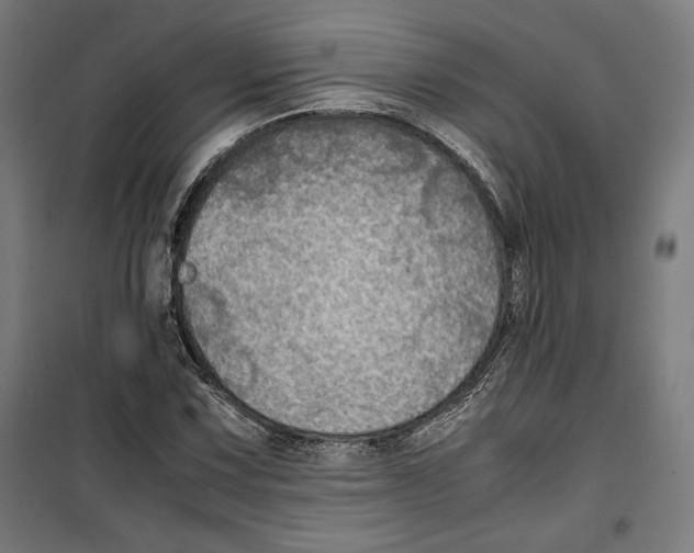 X0000099491067200806121347