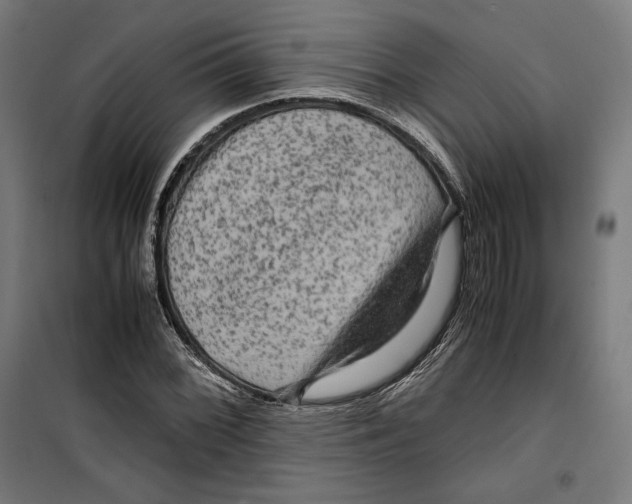 X0000099491068200806121347