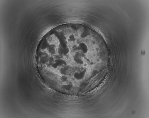 X0000099491071200806121347