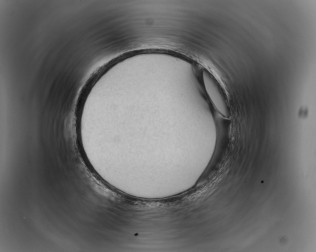 X0000099491072200806121347