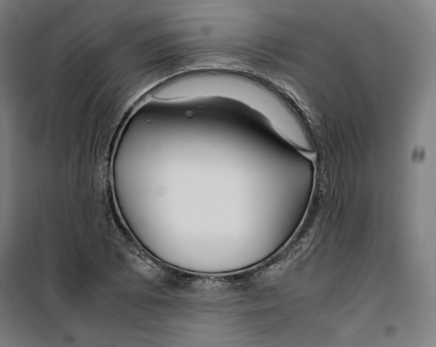 X0000099491073200806121347