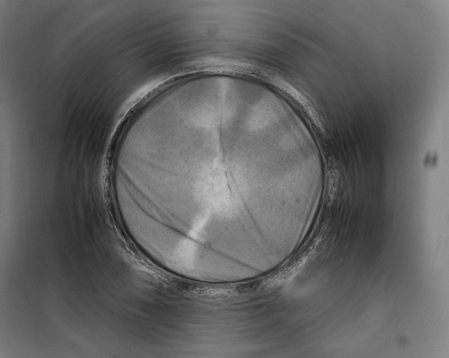 X0000099491074200806121347