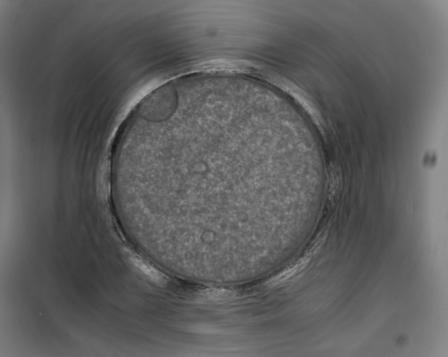 X0000099491075200806121347