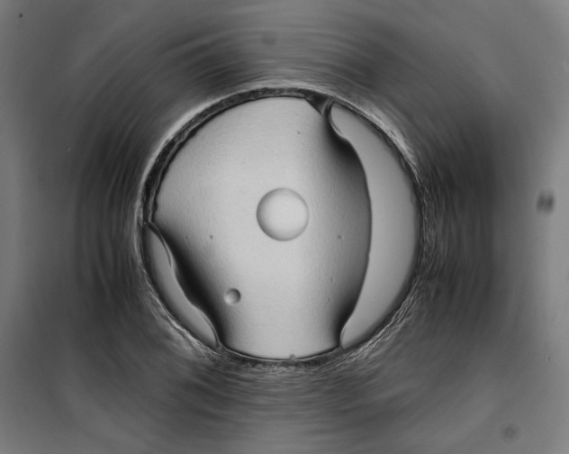 X0000099491076200806121347