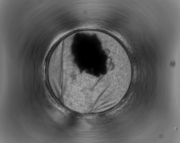 X0000099491078200806121347