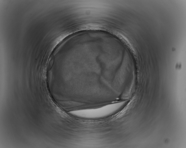 X0000099491081200806121347